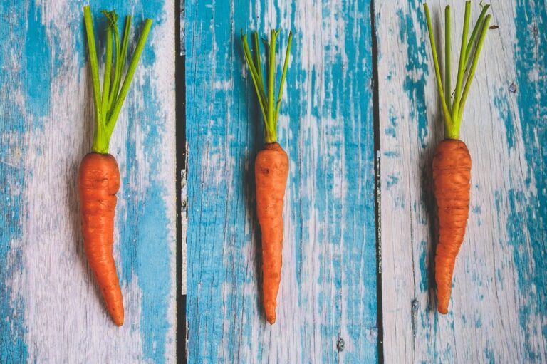 Sárgarépa: Vitaminok, jótékony hatások az egészségre