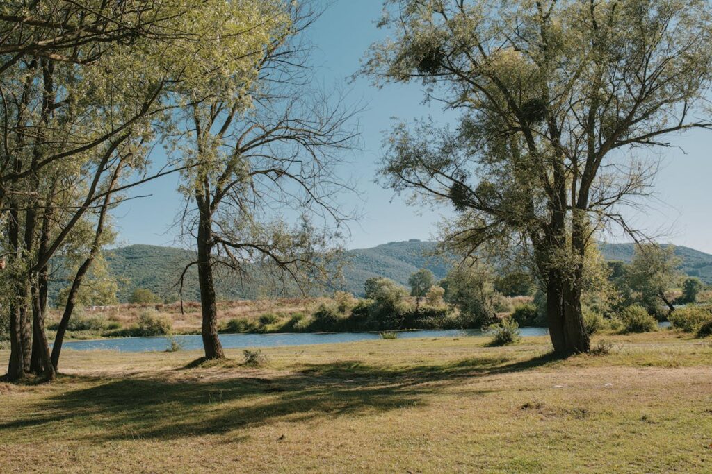 Így hat az egészségedre a friss levegő