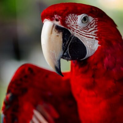 Fotó: ROMAN ODINTSOV, Forrás: Pexels