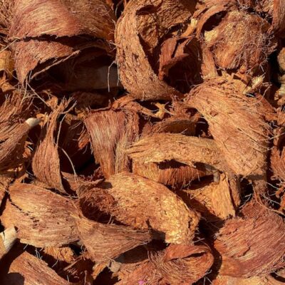 Illusztráció: Ambam Gorilla