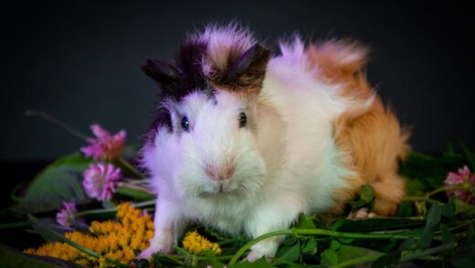 Illusztráció: Vika Glitter