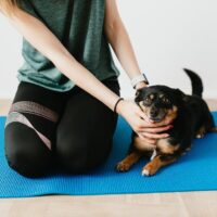 Fotó: Karola G, Forrás: Pexels