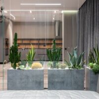 Fotó: Max Vakhtbovycn, Forrás: Pexels