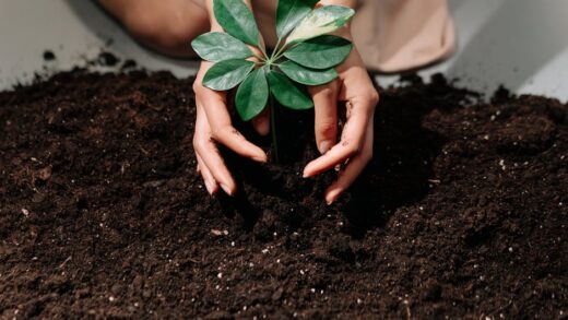 Illusztráció: Ron Lach