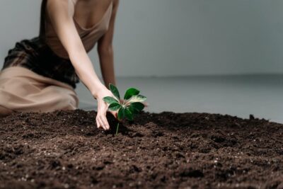 Illusztráció: Ron Lach