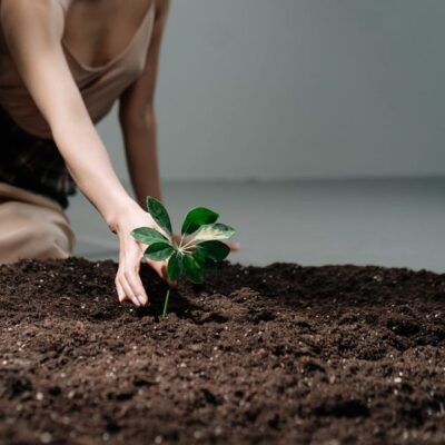 Illusztráció: Ron Lach