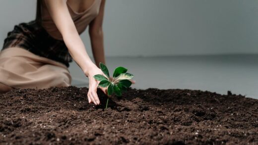 Illusztráció: Ron Lach