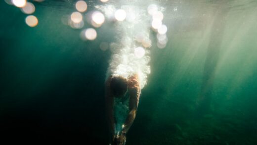 Fotó: Matthew, Forrás: Pexels