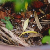 Illusztráció: Alexey Demidov