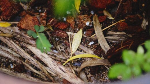 Illusztráció: Alexey Demidov