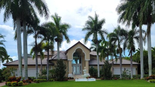 Illusztráció: Christopher Moon