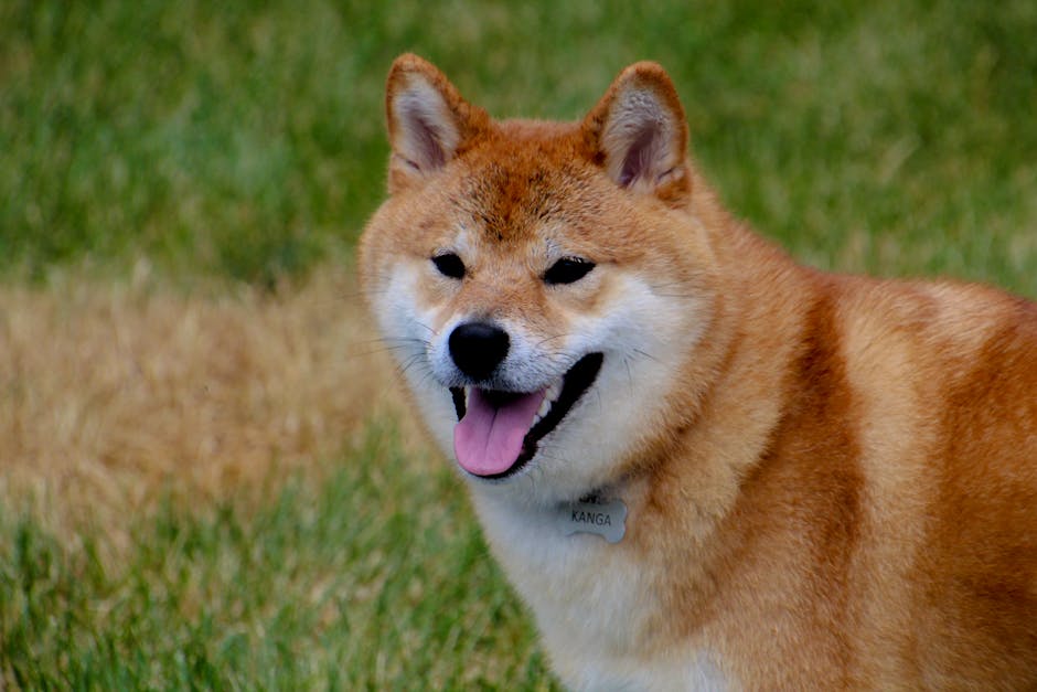 Illusztráció: Karen F