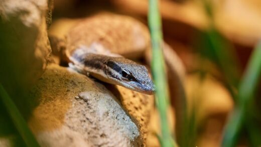 Illusztráció: Philipp Fahlbusch