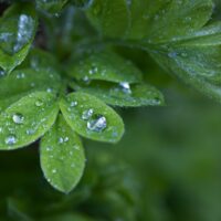 Illusztráció: Jonathan Cooper