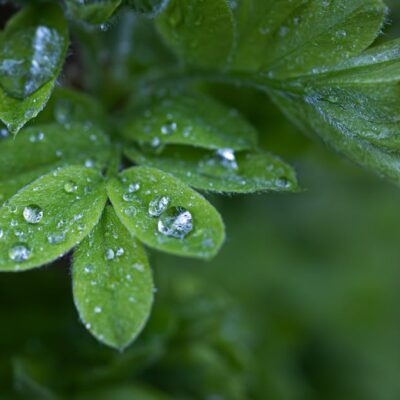 Illusztráció: Jonathan Cooper