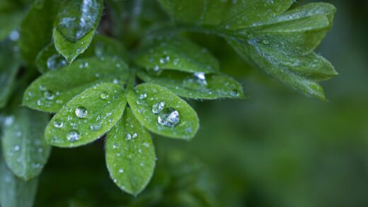 Illusztráció: Jonathan Cooper