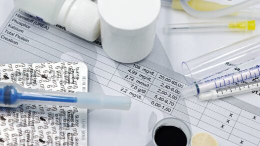 Illusztráció: Marta Branco