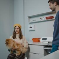 Illusztráció: Tima Miroshnichenko