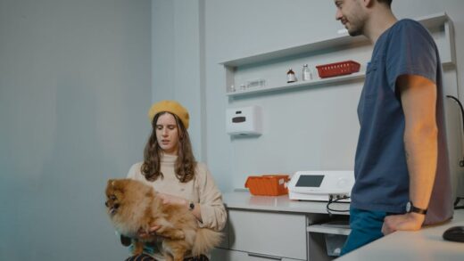 Illusztráció: Tima Miroshnichenko