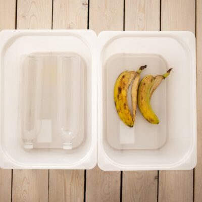 Illusztráció: Monstera Production