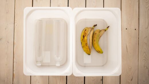 Illusztráció: Monstera Production