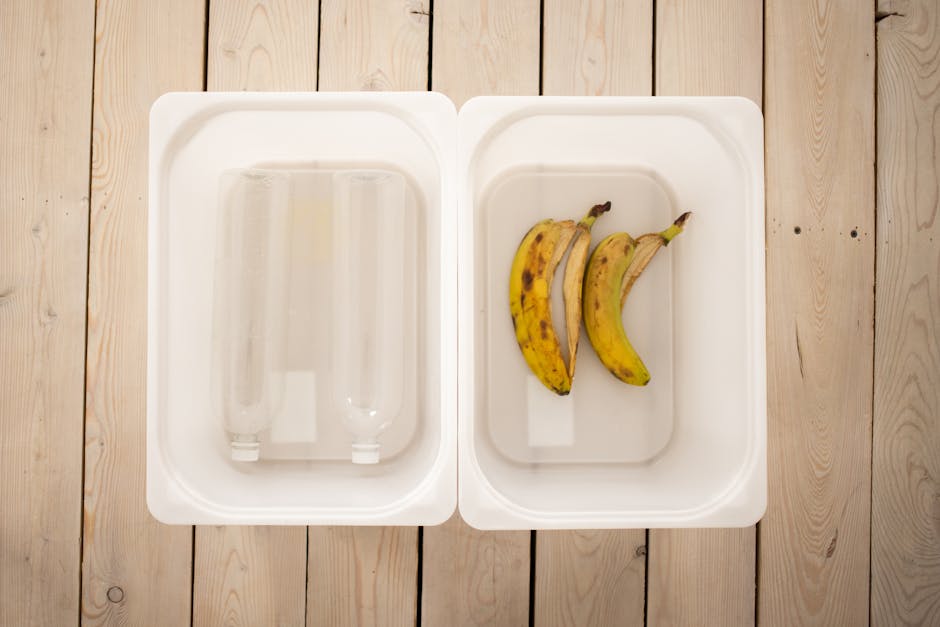 Illusztráció: Monstera Production