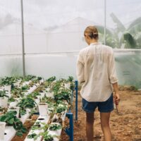 Illusztráció: Anna Tarazevich