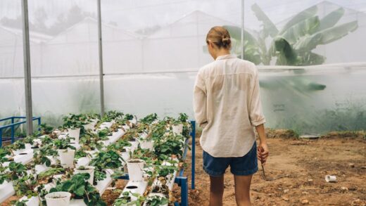 Illusztráció: Anna Tarazevich