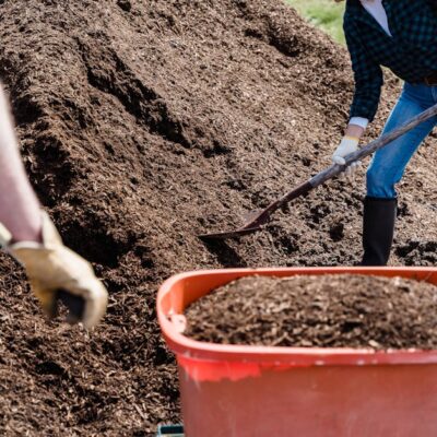 Illusztráció: Greta Hoffman