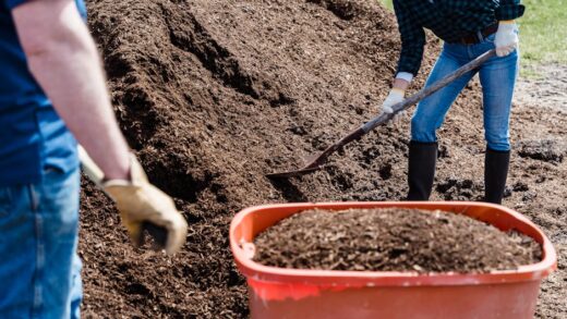 Illusztráció: Greta Hoffman