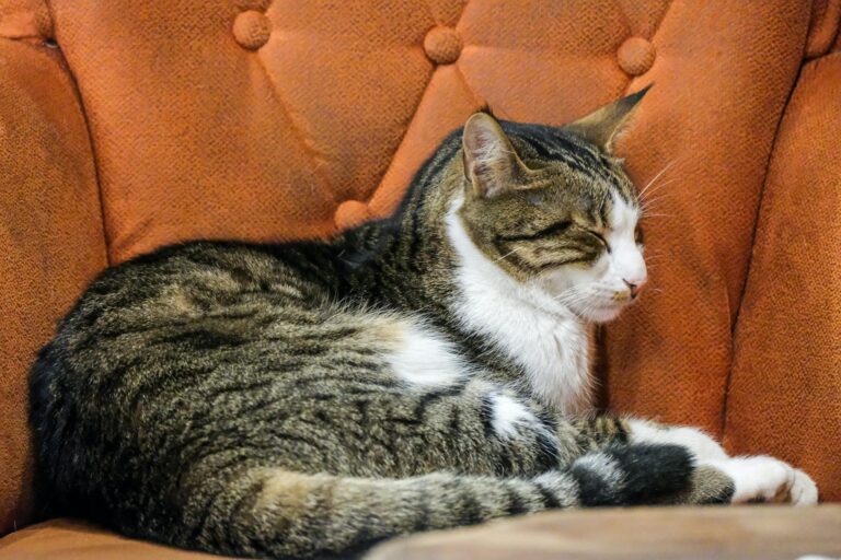 Így teremthetünk barátságosabb hangulatot az otthonunkban a fények segítségével