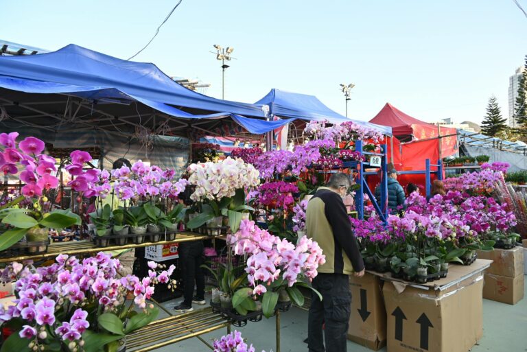 Így érhetjük el, hogy az orchideánk újra és újra virágba boruljon