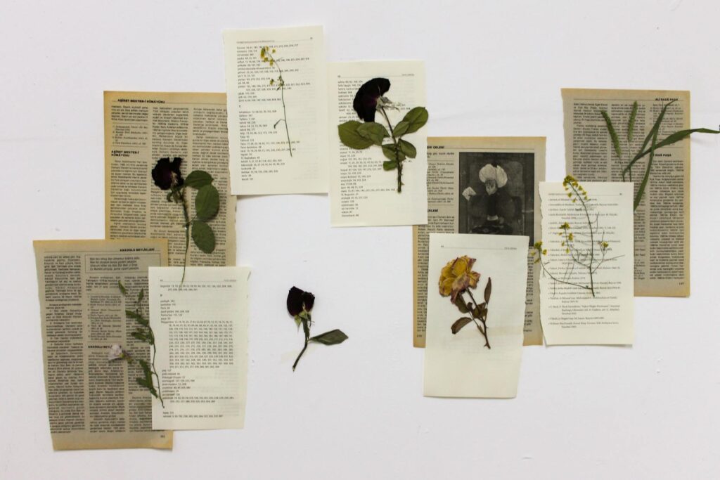 Hogyan őrizhetjük meg a legszebb virágok formáját a saját növényprésünkkel?