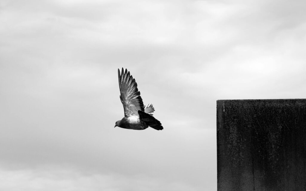 Így találhatunk valódi kincseket a használtruha-üzletekben