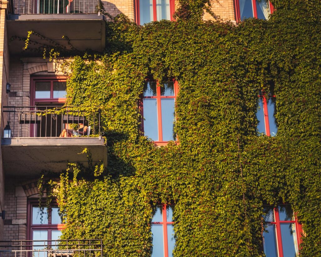 Így használhatjuk ki a függőleges felületeket a kertben és a teraszon
