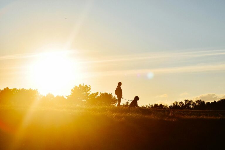 Így javíthatjuk az állóképességünket és a hangulatunkat napi egyetlen sétával