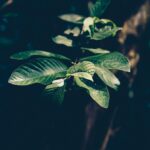 Miért érdemes a sötétebb hónapokban is pótolni a hiányzó D-vitamint?