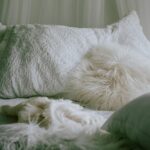 Így választhatjuk ki a számunkra legmegfelelőbb párnát a pihentető alváshoz