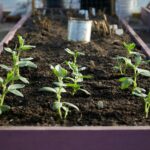 Mindent a magaságyás építéséről és beültetéséről